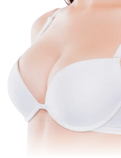 美しいバストの写真