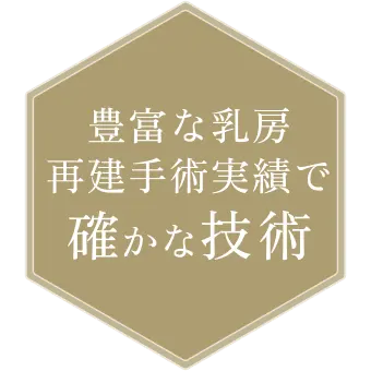 豊富な乳房再建手術実績で確かな技術