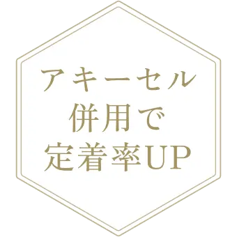 さらにアキーセル併用で定着率UP