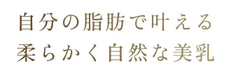 自分の脂肪で叶える 柔らかく自然な美乳